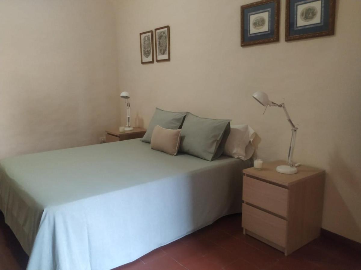 Apartament Alfacs Sant Carlos de la Ràpita Zewnętrze zdjęcie