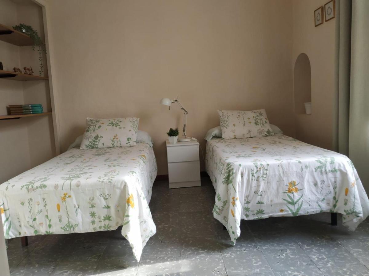 Apartament Alfacs Sant Carlos de la Ràpita Zewnętrze zdjęcie